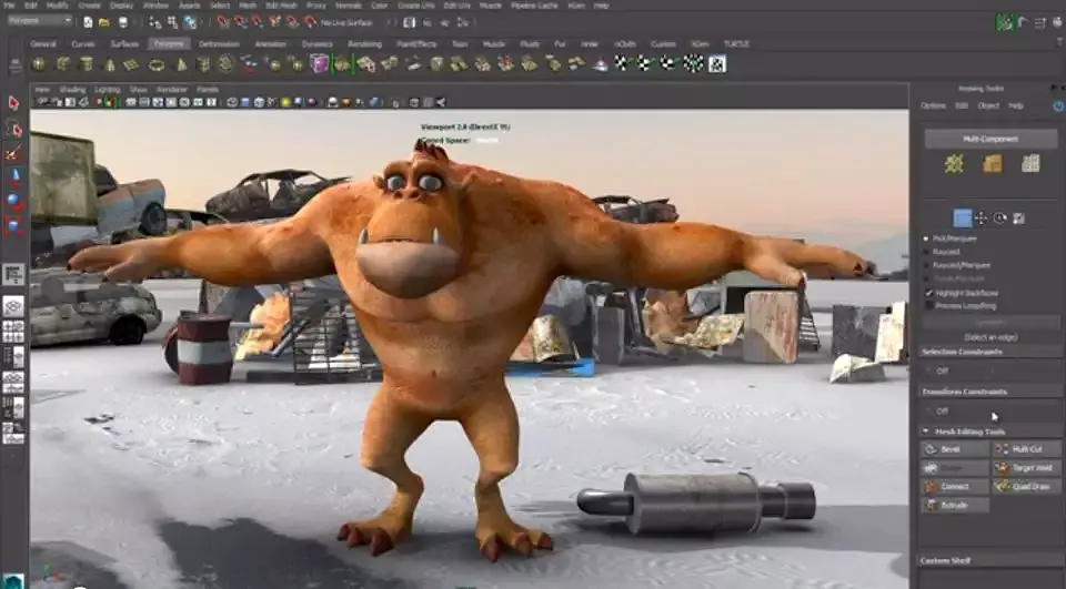 Maya Programı